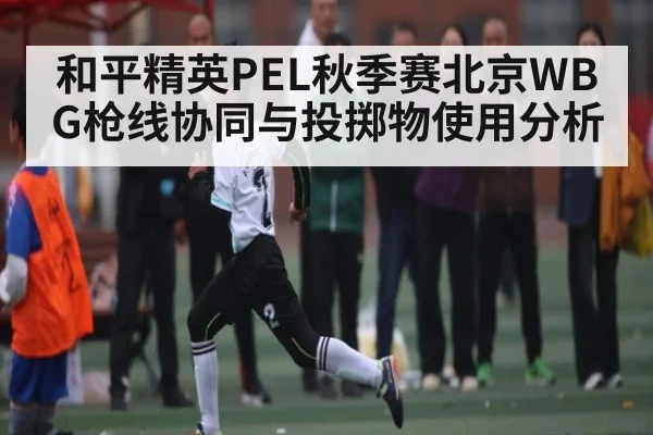 和平精英PEL秋季赛北京WBG枪线协同与投掷物使用分析