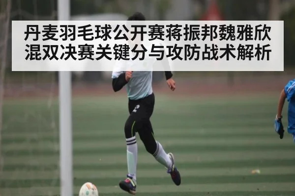 丹麦羽毛球公开赛蒋振邦魏雅欣混双决赛关键分与攻防战术解析