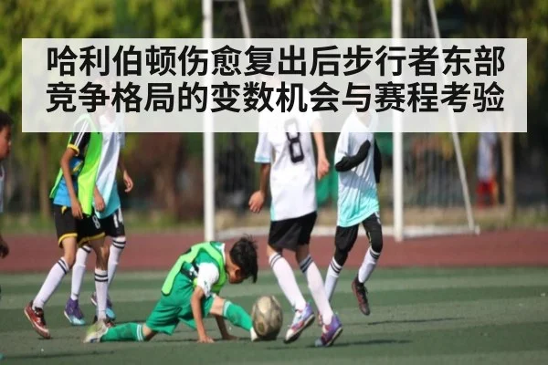 哈利伯顿伤愈复出后步行者东部竞争格局的变数机会与赛程考验